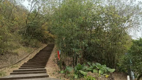大浮蓮崗公園