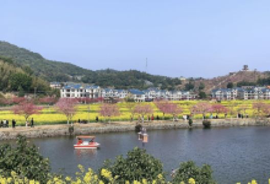 坪盘村油菜花景点图片