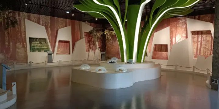 都安民族博物館