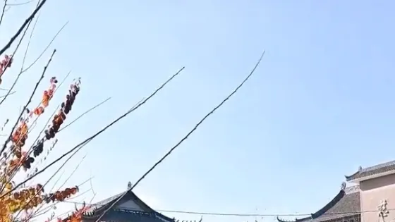 慈雲寺