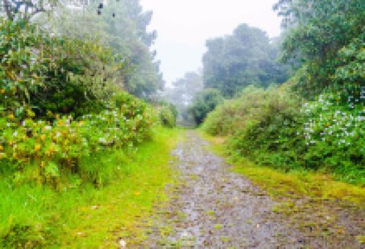 巴鲁火山国家公园景点图片