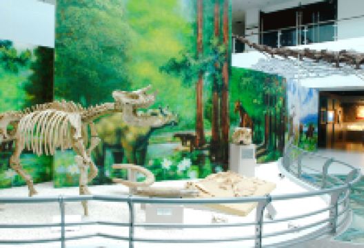 中国地质大学-逸夫博物馆景点图片
