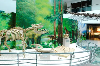 中国地质大学-逸夫博物馆