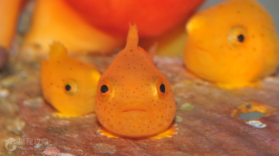 小樽水族館
