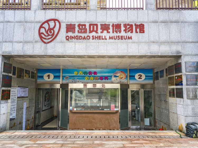 青岛贝壳博物馆