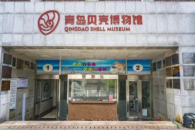 青岛贝壳博物馆