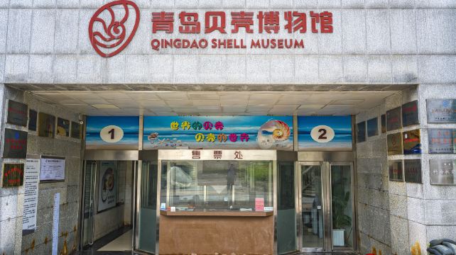 青岛贝壳博物馆