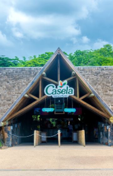 毛里求斯9日8晚拼小团图片