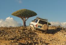 索科特拉岛景点图片