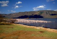 博戈里亚湖景点图片