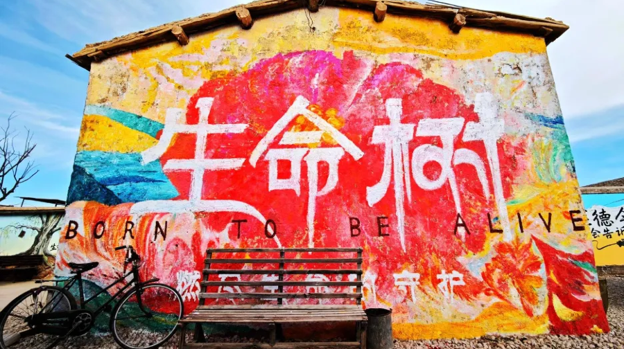 生命树取景点(柯鲁柯镇)
