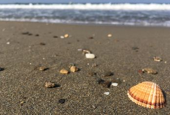 2人起私家团红海湾风车岛沙舌尾鸡鸣寺一日活动汕尾上门接送【所选城市市区免费上门接送，方便快捷，省时省力（时间可微调）】