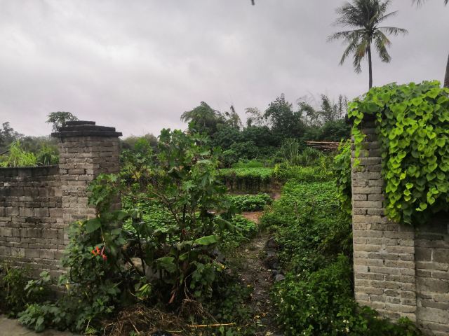 桄榔庵遗址旅行图片 3