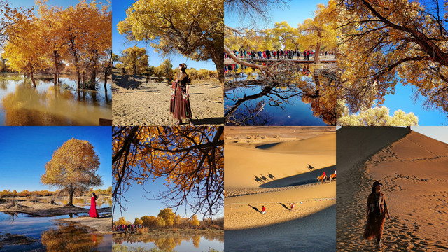 三千年的等待,只为你的到来——2020金秋大西北胡杨林盛宴游记