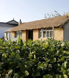 灯塔游记图文-金熙男：新光村的变迁