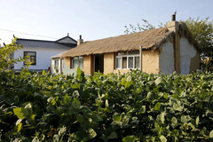 灯塔游记图片] 金熙男：新光村的变迁