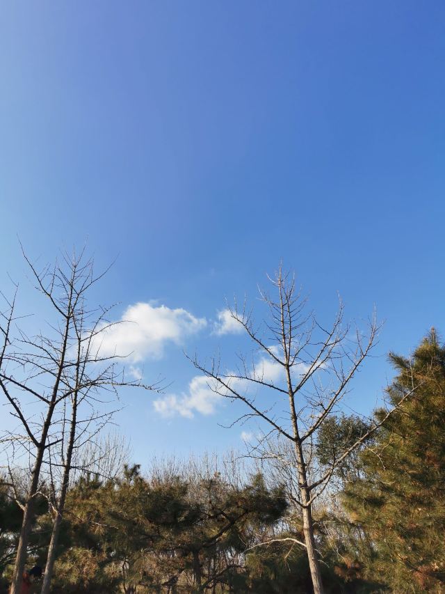 西局玉璞园旅行图片 7