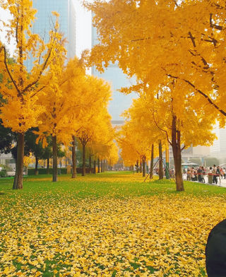 蓉城的冬日，别样的魅力，吃货耍家的天堂