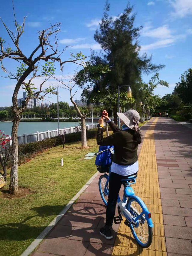 五缘湾湿地公园旅行图片 1