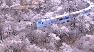 开车仅1h！北京长城脚下度假胜地，独栋文艺小别墅，带娃游玩首选