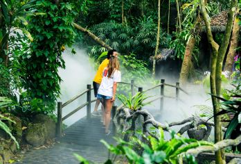 中国海南三亚呀诺达热带雨林一日游【天然的制氧天堂，空气都是甜的】