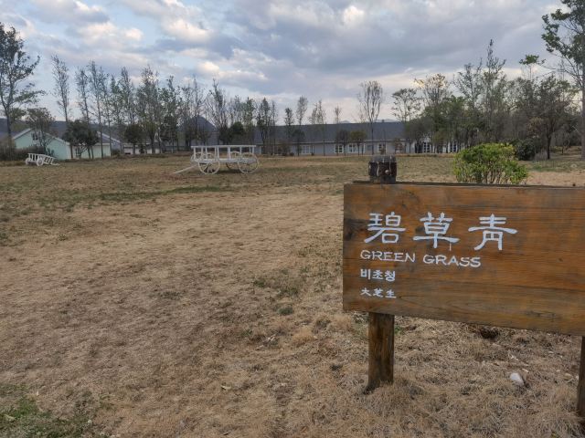 雪山花海乐园旅行图片 3
