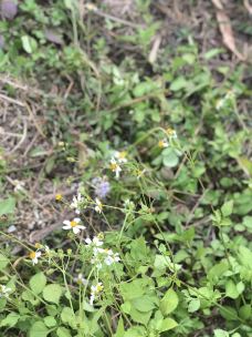 广州美术学院(昌岗校区)-广州-华华2018