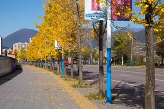 嶲州艺苑 | 郑成伟：感受秋天