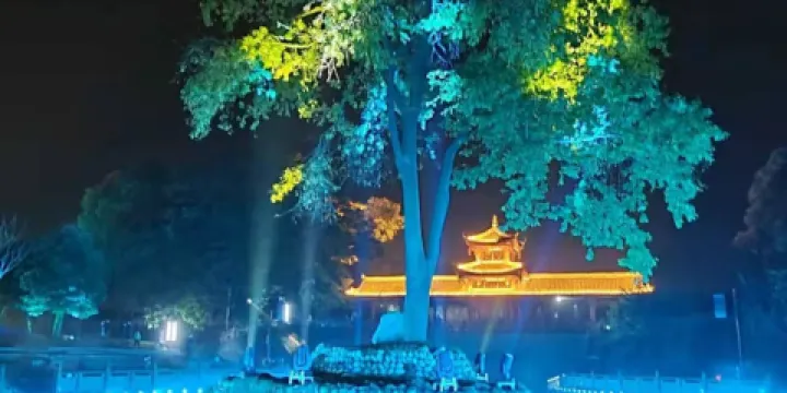 孝泉孝故里景區