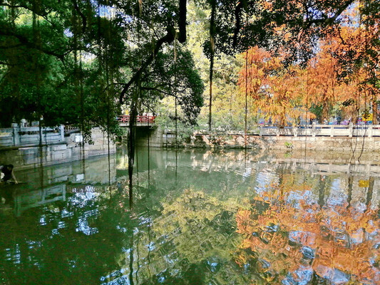 五千年前的海岸倒退了一百公里——带你广州访古（38）