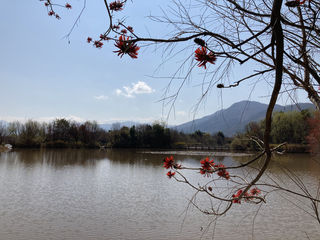 邛海泸山~美丽西昌一日游