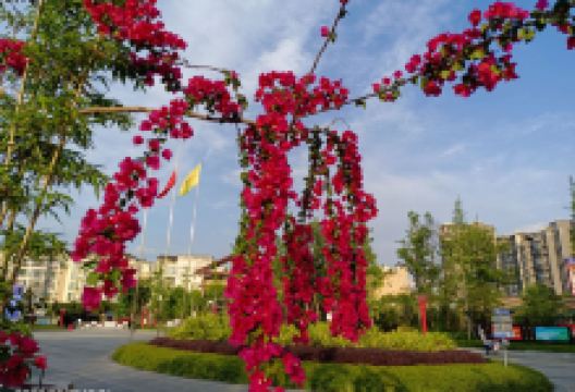 宏远盖丽广场购物图片