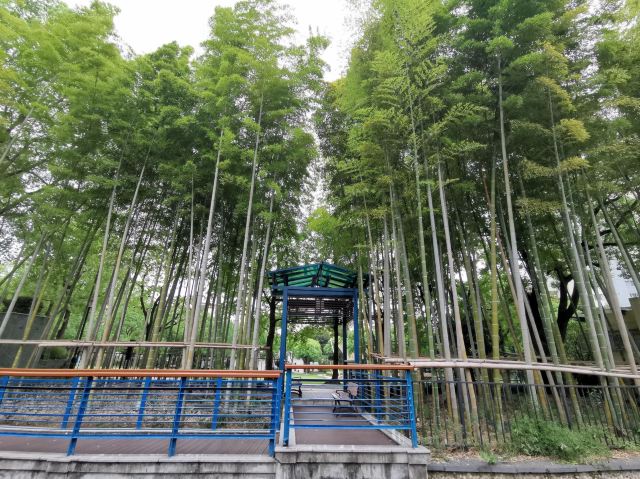 祥和公园旅行图片 4