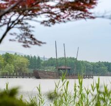 苏州太湖国家湿地公园-苏州-YoYo_4G7M3Q7D