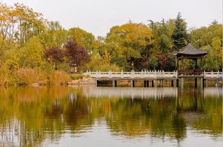 待云开雾散，我想在临沂见到你…