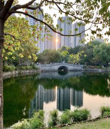 和平公园-上海-霞光升起