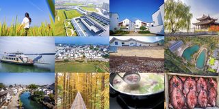 富阳新亚运时代,踏入历史足迹,赏吴冠中笔下的最美江南