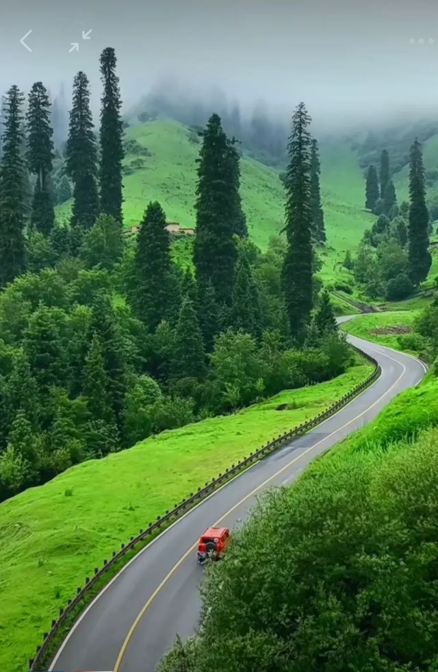 龙里大草原景区旅行图片 3