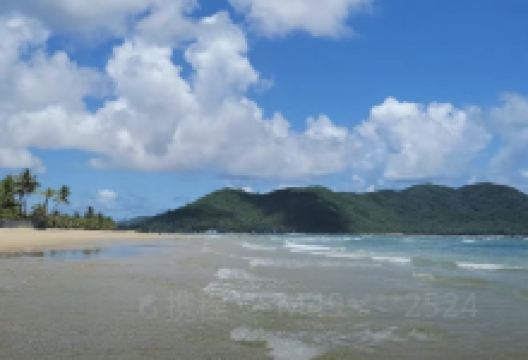 南湾猴岛-七彩沙滩景点图片