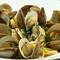 Fontina Grille