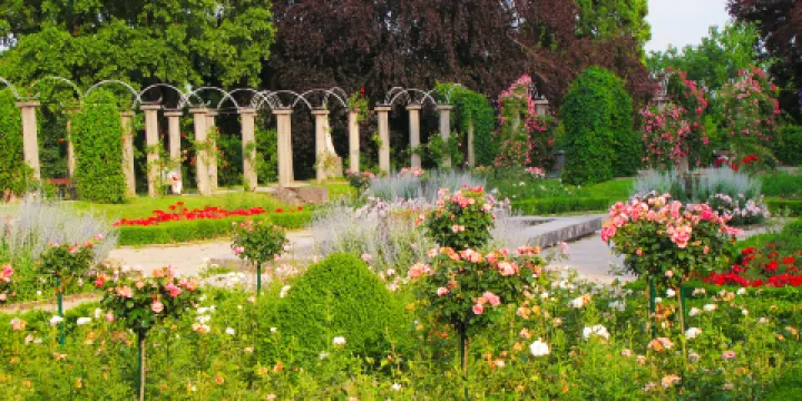 宮殿花園的上園