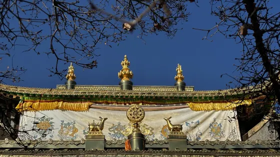 度母寺