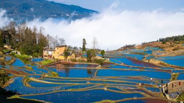 元阳哈尼梯田