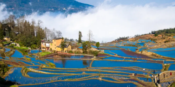 元陽哈尼梯田