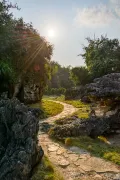 2-Day Chongzuo Tour: Mysteries of the White-Headed Langur, Natural Journey from Taiping Ancient City to Detian Waterfall