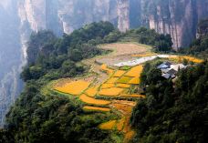 空中田园-张家界