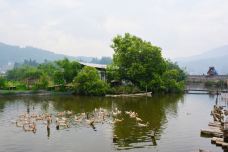 洗衣亭-腾冲-牛奶海