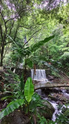 野趣沟-河源-YoYo_6F5D5D6N