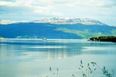 松恩峡湾-松达尔-翱翔的大鲨鱼