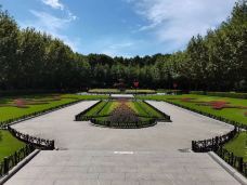 复兴公园-上海-我的黑郁金香